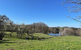 Gite Du Mont Gerard